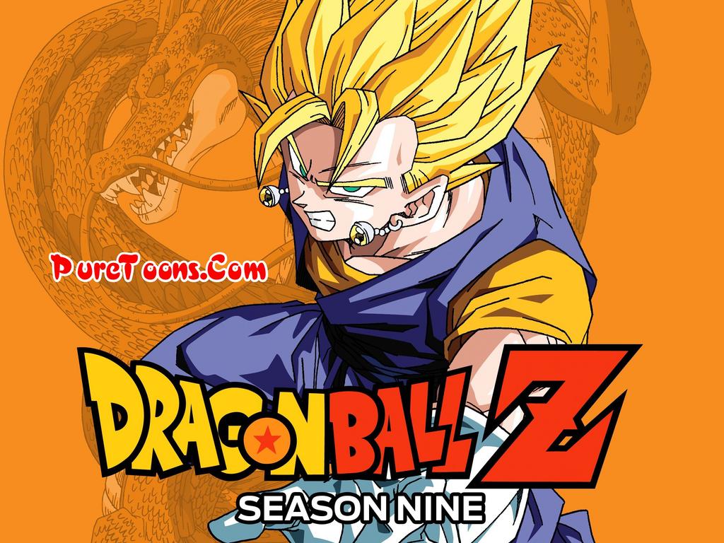 Dragon Ball Z (Season 9) Fusion and Kid Buu Sagas in Hindi Completed Series All Episodes free Download Mp4 & 3Gp