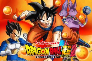 Dragon Ball Super Hindi Subbed ALL Episodes Free Download